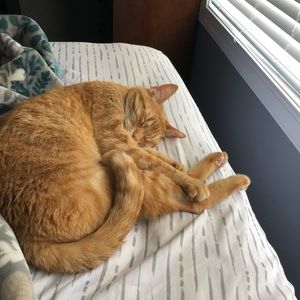 Meet your Posher, Jayden